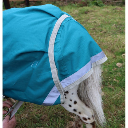 Shetland-Miniature Combo Turnout 50g - Clearance