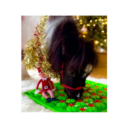 Horse-Pony-Shetland-Donkey Snuffle Treat Mat