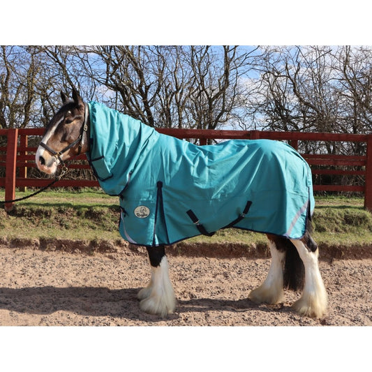 Heavy Horse Combo Turnout Rug 50g
