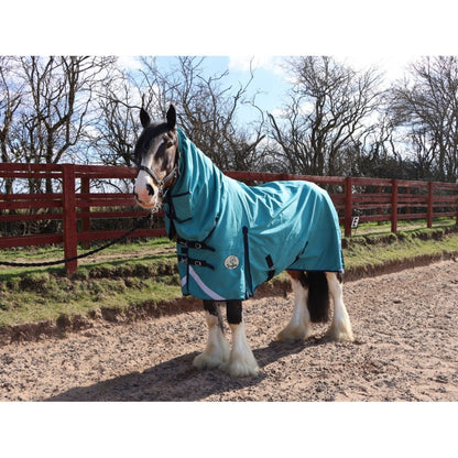 Heavy Horse Combo Turnout Rug 50g