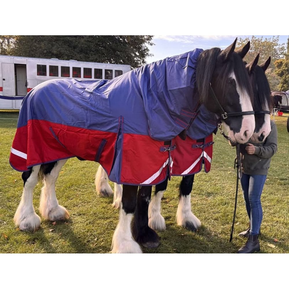 Heavy Horse 100g Combo Turnout Rug