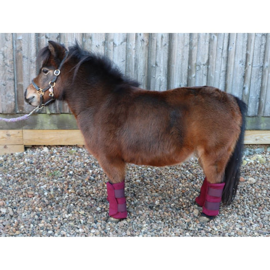 Tapis De Selle Shetland Mini Shet Tapis De Selle Shetland Mini Shet