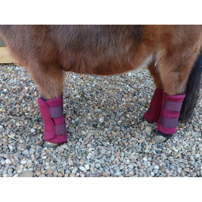 Shetland-Miniature-Donkey Triple Layer Wicking Leg Wrap Set - Burgundy