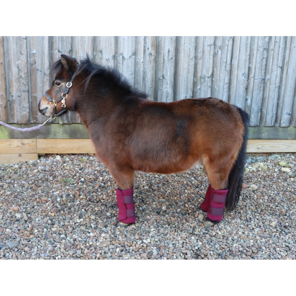 Shetland-Miniature-Donkey Triple Layer Wicking Leg Wrap Set - Burgundy