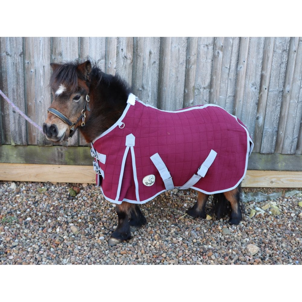 Shetland-Miniature-Donkey Triple Layer Wicking Rug With Detachable Neck