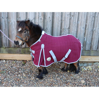 Shetland-Miniature-Donkey Triple Layer Wicking Rug With Detachable Neck