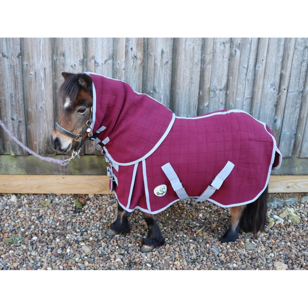Shetland-Miniature-Donkey Triple Layer Wicking Rug With Detachable Neck