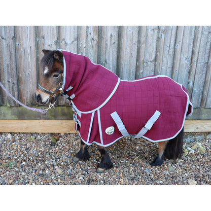 Shetland-Miniature-Donkey Triple Layer Wicking Rug With Detachable Neck
