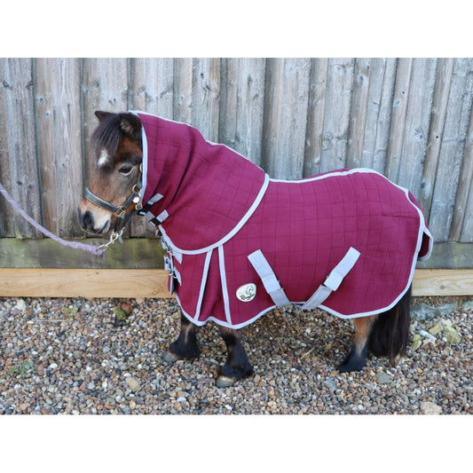 Shetland-Miniature-Donkey Triple Layer Wicking Rug With Detachable Neck