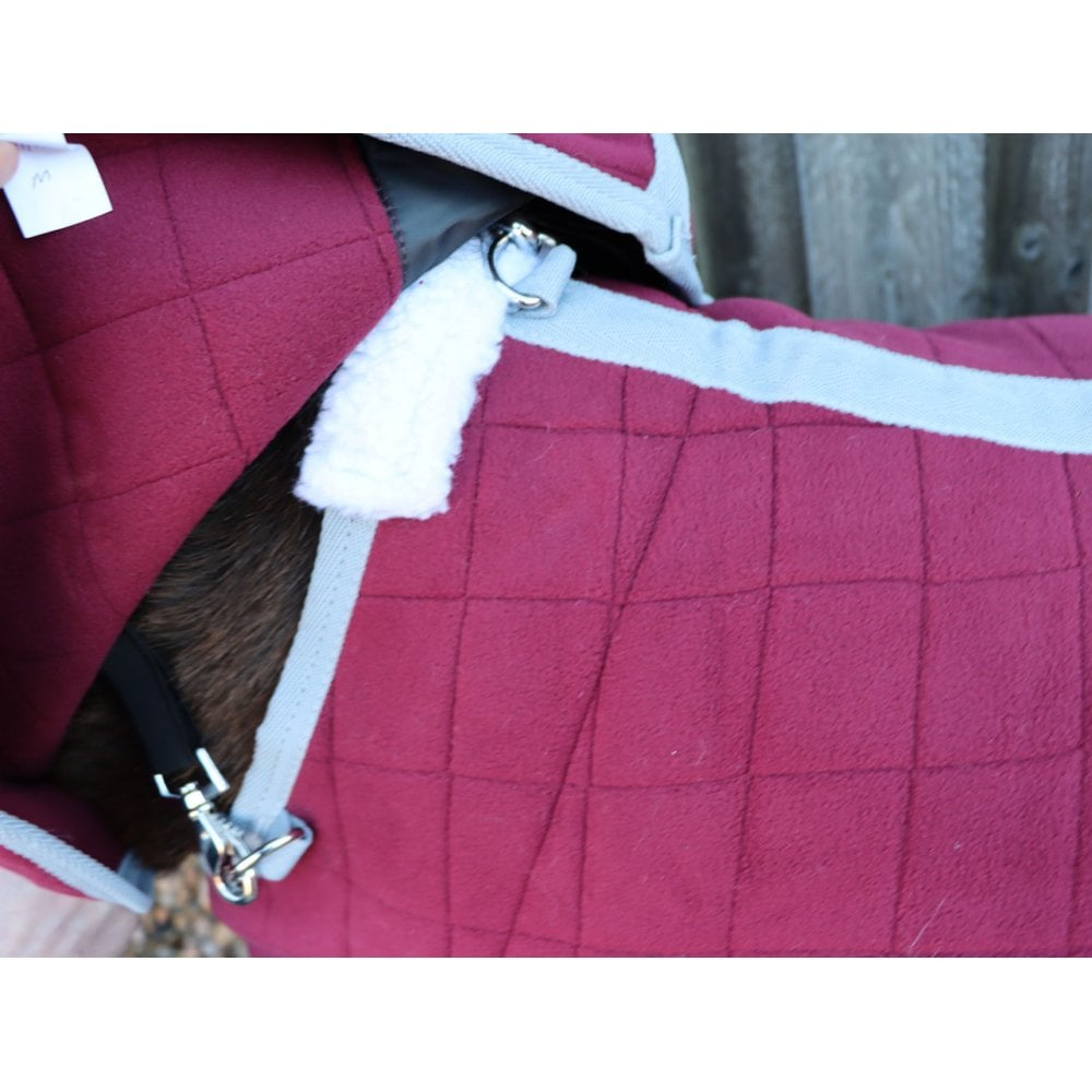 Shetland-Miniature-Donkey Triple Layer Wicking Rug With Detachable Neck