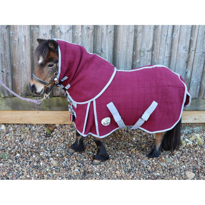 Shetland-Miniature-Donkey Triple Layer Wicking Rug With Detachable Neck