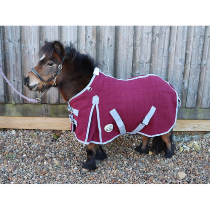 Shetland-Miniature-Donkey Triple Layer Wicking Rug With Detachable Neck
