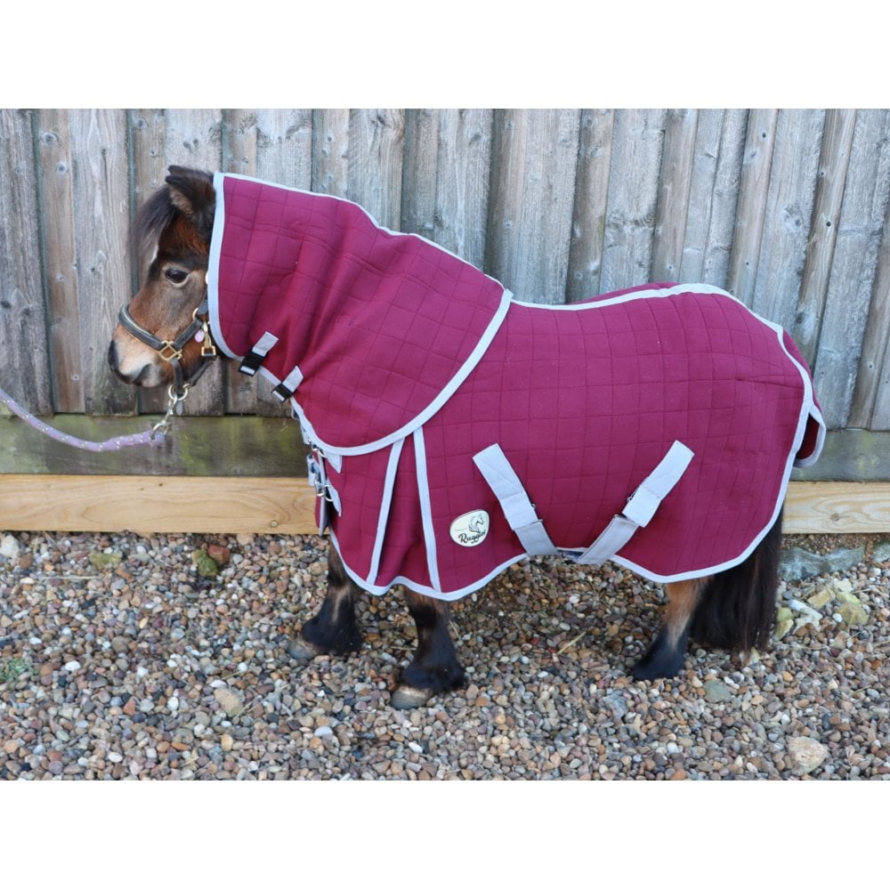 Shetland-Miniature-Donkey Triple Layer Wicking Rug With Detachable Neck