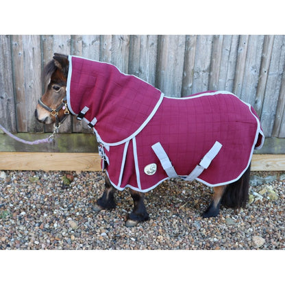 Shetland-Miniature-Donkey Triple Layer Wicking Rug With Detachable Neck