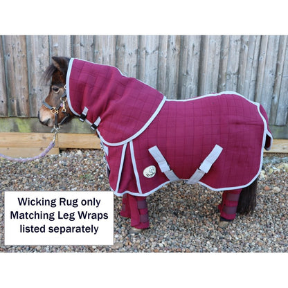 Shetland-Miniature-Donkey Triple Layer Wicking Rug With Detachable Neck