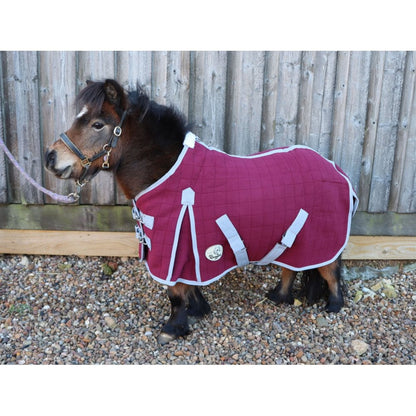 Shetland-Miniature-Donkey Triple Layer Wicking Rug - Burgundy