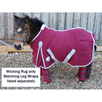 Shetland-Miniature-Donkey Triple Layer Wicking Rug - Burgundy