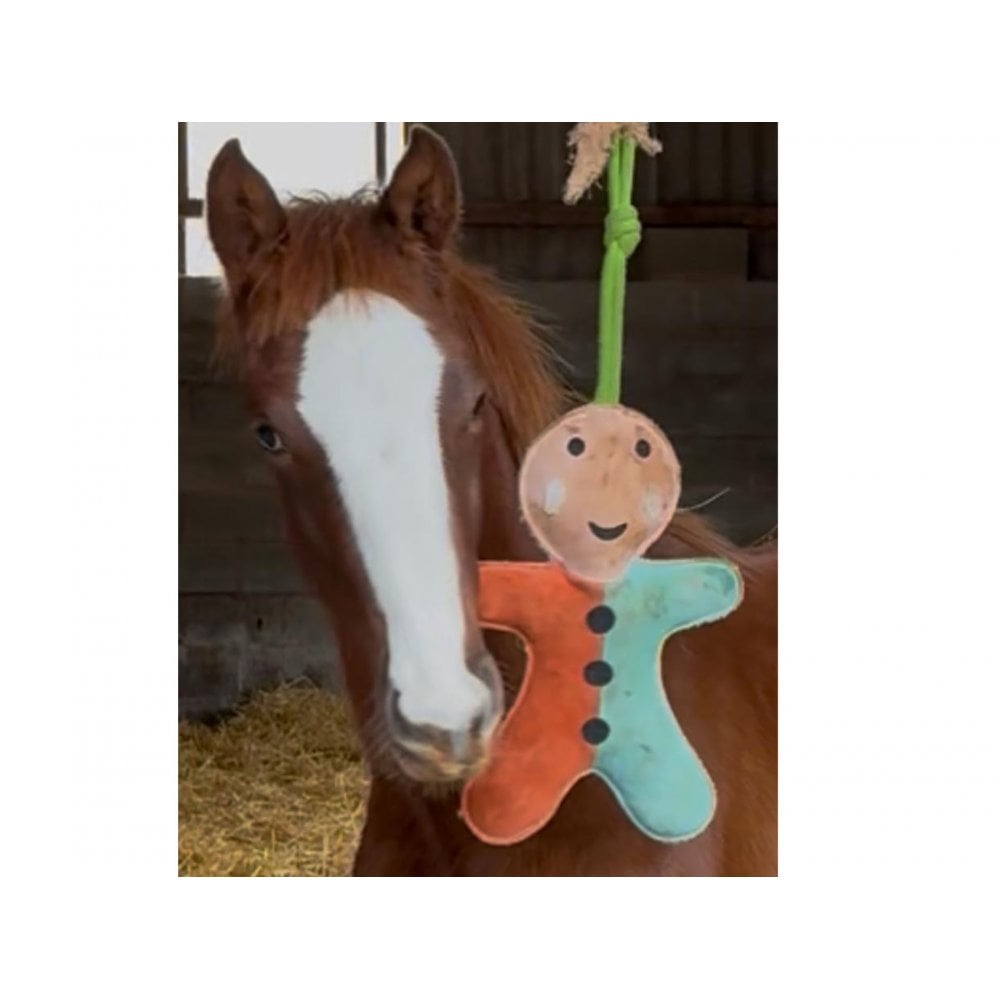 Horse Toy - Gingerbreadman