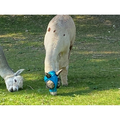 Lycra Pull On Fly Mask With Ears for Alpacas and Sheep