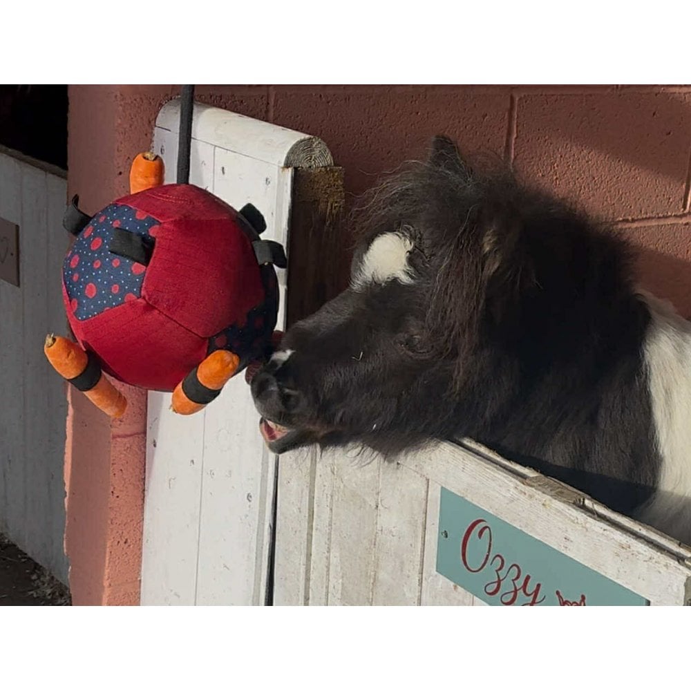 Horse Treat Toy - Football