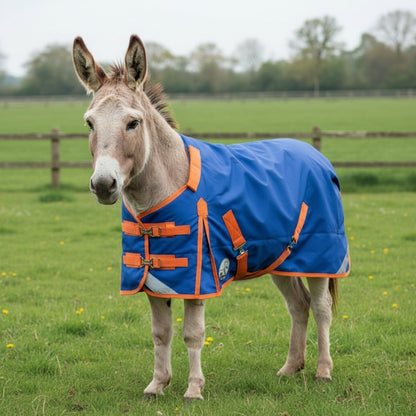 Shetland-Miniature-Donkey-Section A 200g V2 Middleweight 1200D Standard Turnout Rug
