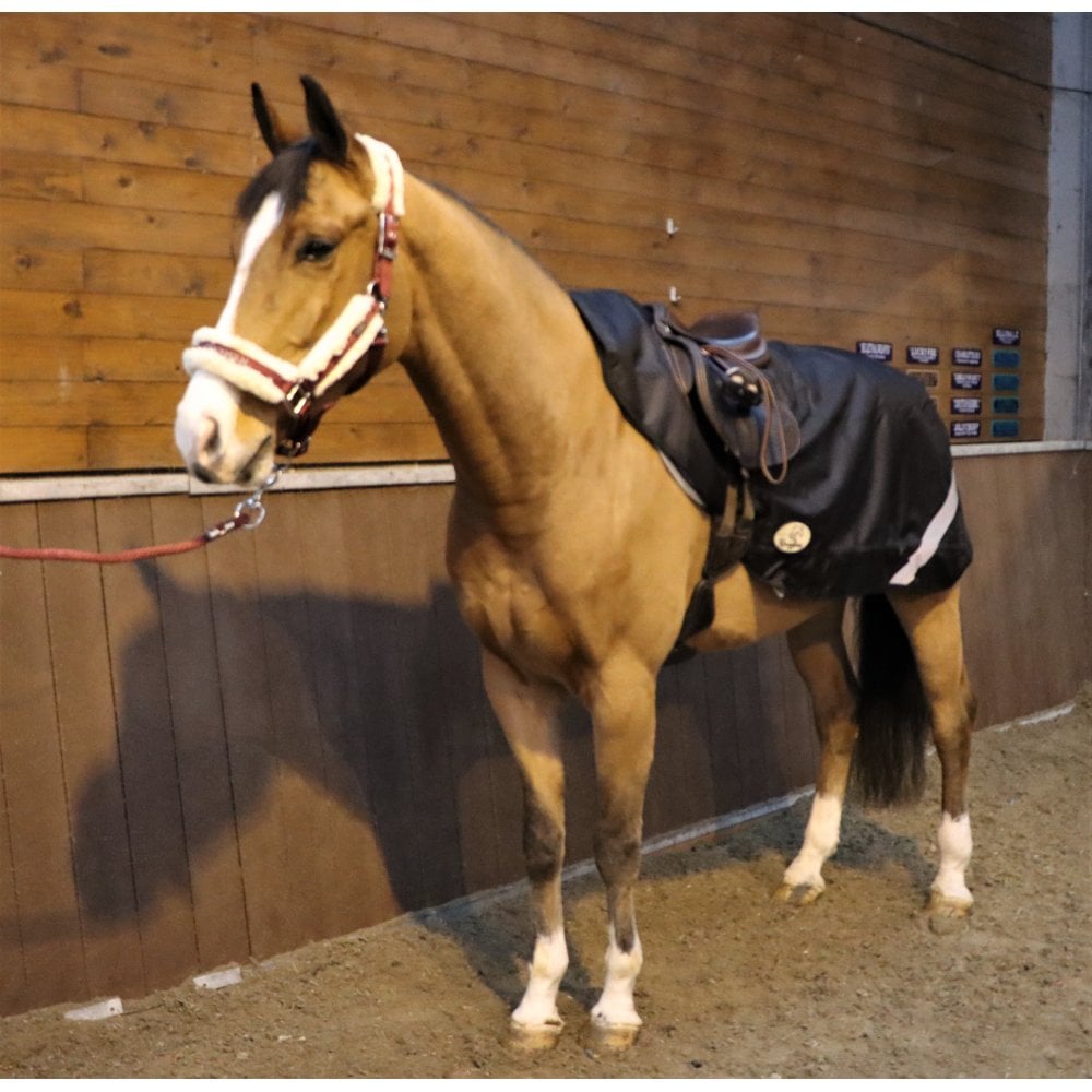Excerice Sheet Rug 50g Lightweight Exercise Sheet – Ruggles Equestrian