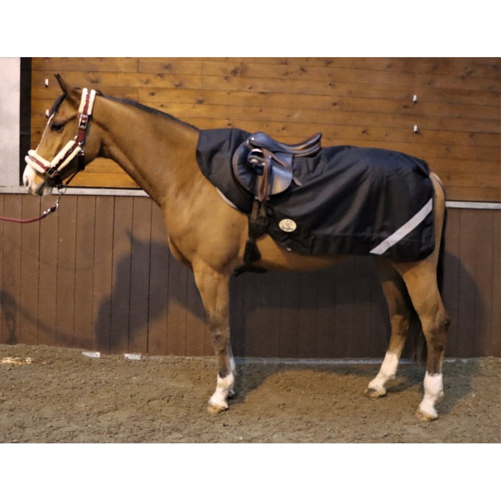 50g Lightweight Exercise Sheet