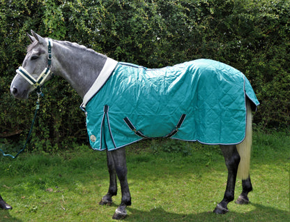 Shop Soiled 50g Stable Rug