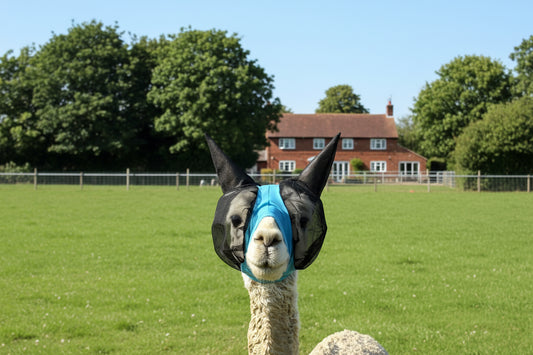 Lycra Pull On Fly Mask With Ears for Alpacas and Sheep