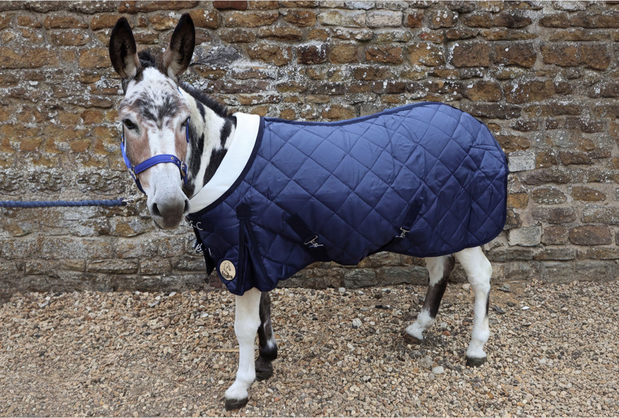 Shetland-Miniature-Donkey-Section A 200g Stable Rug With Collar