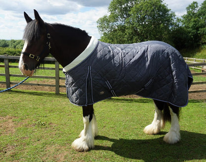 Heavy Horse 100g Stable Rug With Fleece Collar