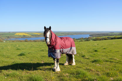 Heavy Horse Lightweight Combo Turnout Rug