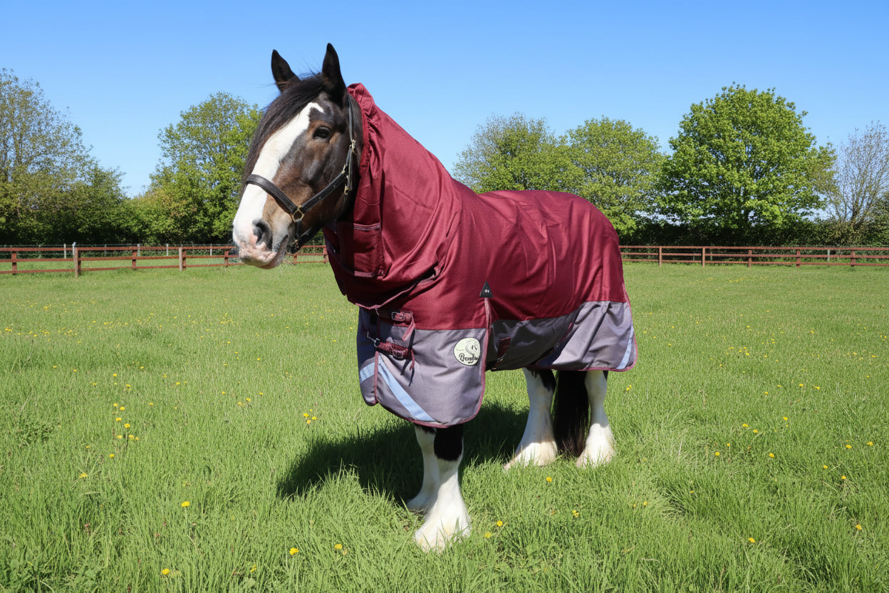 Heavy Horse Lightweight Combo Turnout Rug