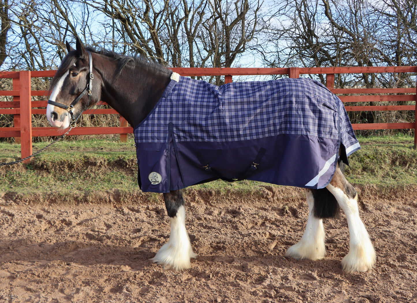 Heavy Horse Lightweight V2 Turnout Rug