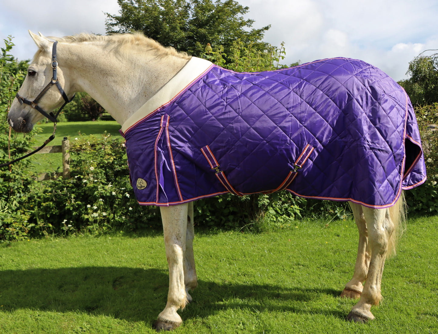 Shop Soiled 6'9 Heavy Horse 100g Purple Stable Rug