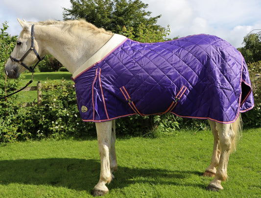 Shop Soiled 6'9 Heavy Horse 100g Purple Stable Rug