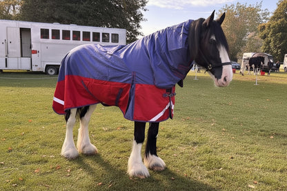 Heavy Horse 100g Combo Turnout Rug