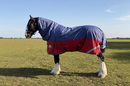 Heavy Horse 100g Combo Turnout Rug