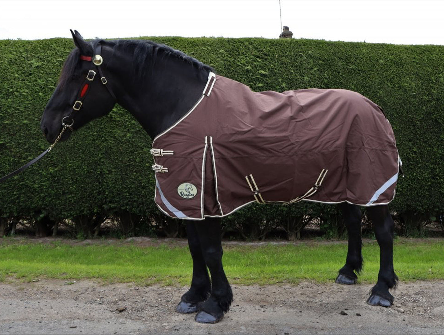 Heavy Horse 100g 1200D V2 Turnout Rug
