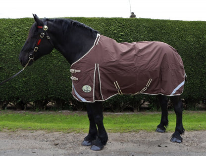 Heavy Horse 100g 1200D V2 Turnout Rug