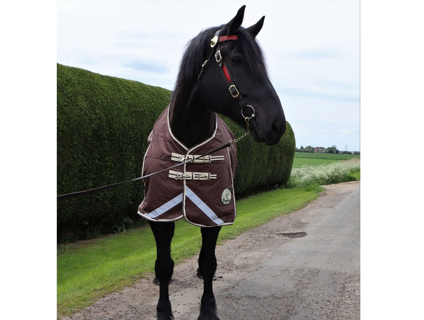 Heavy Horse 100g 1200D V2 Turnout Rug