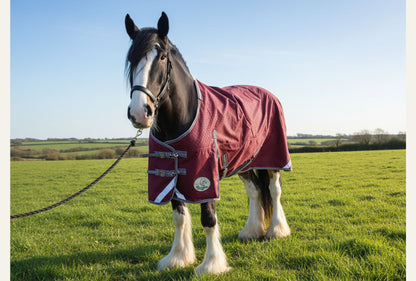 Heavy Horse 100g 1200D V2 Turnout Rug