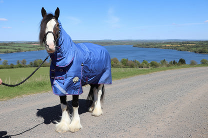 Heavy Horse Middleweight 280g Combo 1200D Turnout Rug