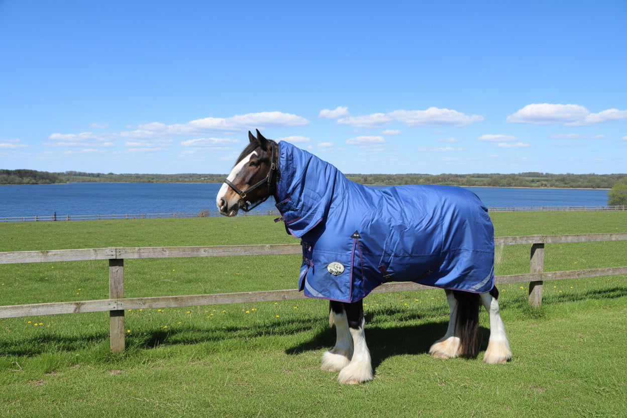 Heavy Horse Middleweight 280g Combo 1200D Turnout Rug