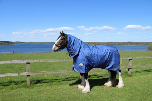 Heavy Horse Middleweight 280g Combo 1200D Turnout Rug