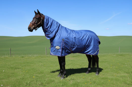 Middleweight 280g 1200D Combo Turnout Rug