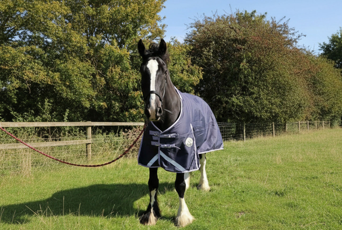 Heavy Horse 280g V2 Turnout Rug
