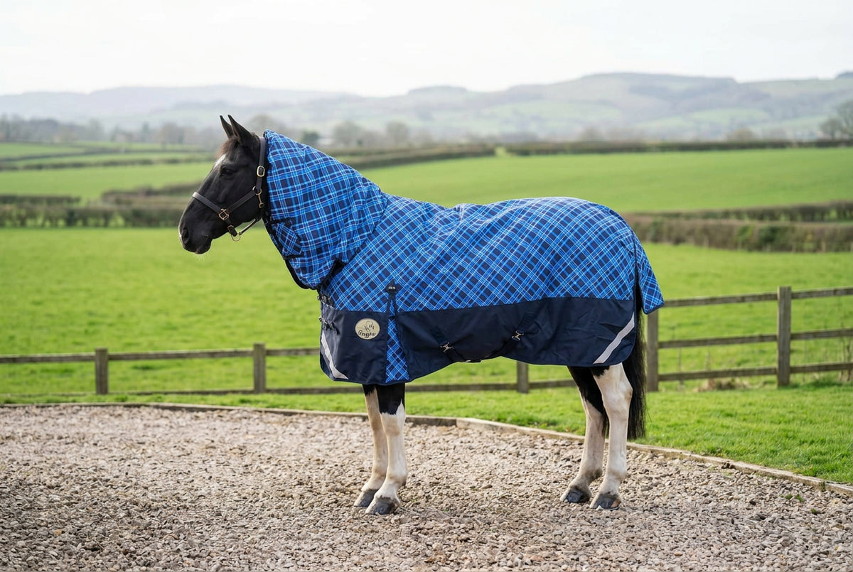 Heavy Horse Middleweight 300g Combo 1200D Turnout Rug