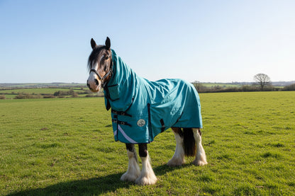 Heavy Horse Combo Turnout Rug 50g