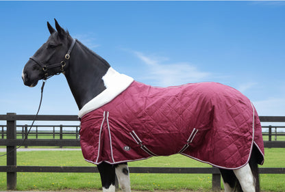 Heavy Horse 50g Stable Rug With Fleece Collar
